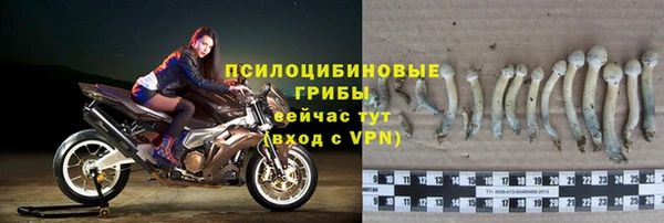 круглые Алзамай