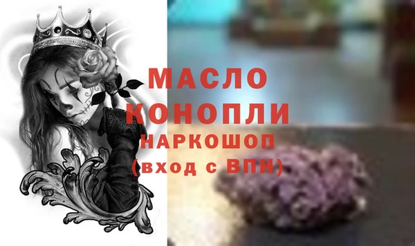 СК Алексин