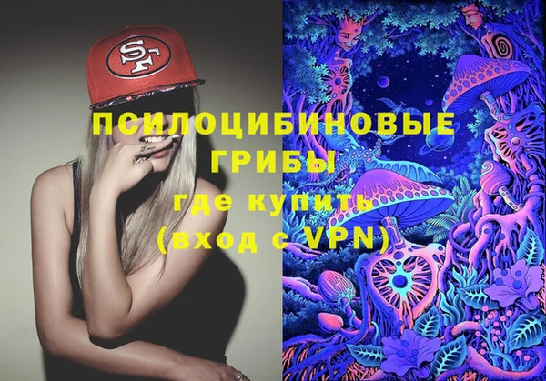 ECSTASY Белая Холуница