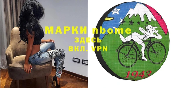 СК Алексин