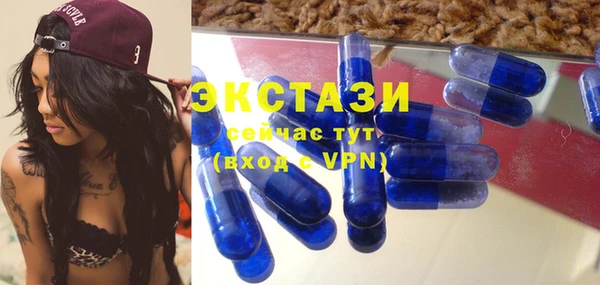 СК Алексин