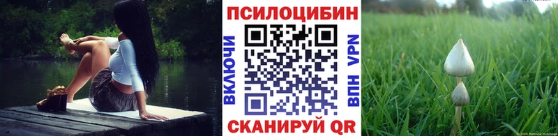сколько стоит  Анжеро-Судженск  mega маркетплейс  Галлюциногенные грибы прущие грибы 